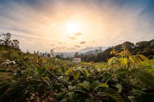 Billede fra billedgalleriet på La Tribuna de los Andes Cabin 2 i Arcabuco
