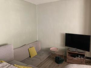 a living room with a couch and a flat screen tv at Appartement Thout dichtbij zee in Ostend