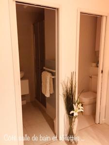 Koupelna v ubytování Suite privée - tout équipé