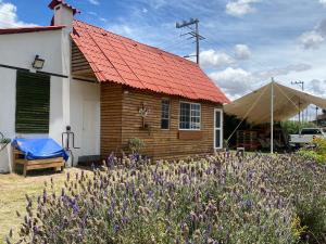 a small house with an orange roof and purple flowers at Cabaña BC Amecameca in Amecameca de Juárez