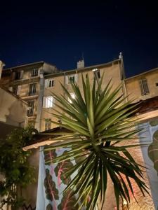 a palm tree in front of a building at Appartement centre ville avec Patio in Marseille +19 photos