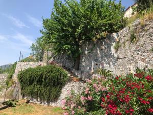 Zahrada ubytování Un Capriccio-Sambuco + 14 fotografií