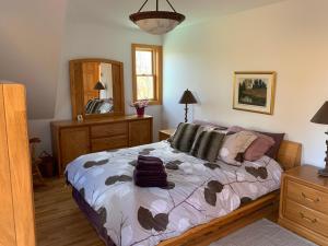 a bedroom with a bed with a dresser and a mirror at A Superior Experience - Tremblant N - hot tub and gym in Lac-Superieur
