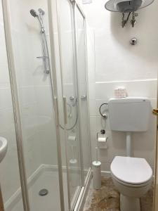 a bathroom with a shower and a toilet at La casa del Cervino in Breuil-Cervinia