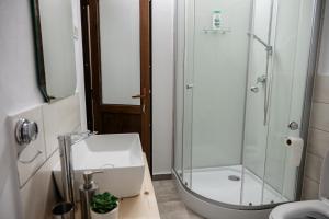 a bathroom with a shower and a sink at Cabana Petersdorf in Petreşti