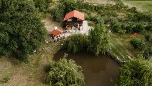 an aerial view of a house next to a lake at Cabana Petersdorf in Petreşti