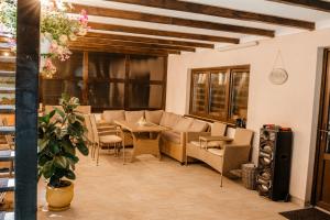 a living room with a couch and a table and chairs at Cabana Petersdorf in Petreşti