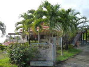 En have udenfor Appartement Tropical Garden