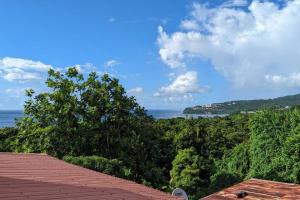 Naturlandskabet i nærheden af lejligheden