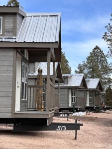 Un oso en el porche de una casa diminuta en Cabins with a Mountain view 5A, en Williams