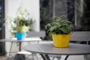 カリアリにあるPoettos heART - Roomsのテーブルの上に置かれた黄色い鉢植え