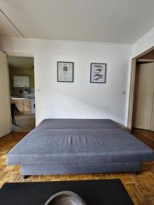 ein Schlafzimmer mit einem großen Bett in einem Zimmer in der Unterkunft Vaste studio 10 min ORLY 20 min Paris by RER B in Massy