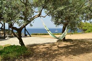 Φυσικό τοπίο κοντά σε αυτή η παραθεριστική κατοικία