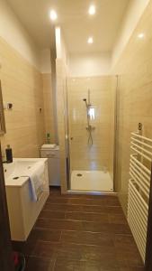 a bathroom with a shower and a toilet at Drzewna Apartamenty - Żeromskiego in Zielona Góra