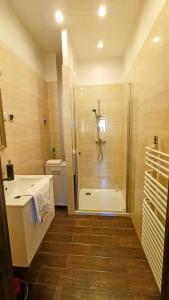 a bathroom with a shower and a toilet at Drzewna Apartamenty - Żeromskiego in Zielona Góra