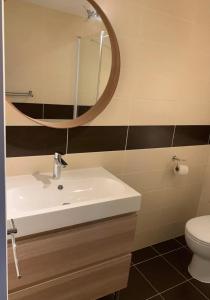 Ένα μπάνιο στο Studio indépendant neuf avec piscine et jardin +3 φωτογραφίες