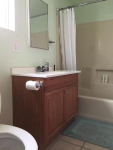 Vannituba majutusasutuses Hilltop Cabin with Starlink and View 10 mins to JT Park