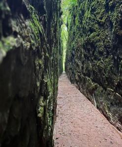 a narrow path between two large stone walls at Hotel Formigas na Figueira in Tibagi