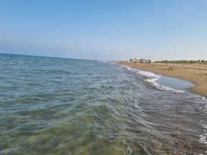 Foto dalla galleria di Mersin konaklama a Silifke