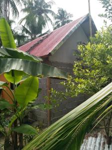 Κήπος έξω από το Tiny House