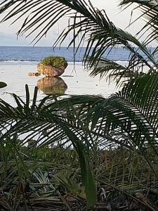 Φυσικό τοπίο κοντά σε αυτή η παραθεριστική κατοικία