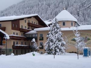 Ferienhotel Alber v zime