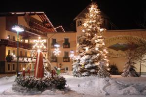 Ferienhotel Alber v zime
