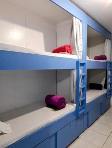 a group of bunk beds with red and purple blankets at Kasa Hostel Karaokê in Balneário Camboriú