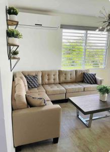 Gallery image of Punta del Cielo in Barranquitas +22 photos