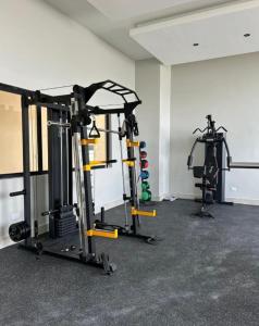 Γυμναστήριο ή/και όργανα γυμναστικής στο NEW Luxury 2BR King Bed, Gym, & Pool in the heart of Santo Domingo +13 φωτογραφίες
