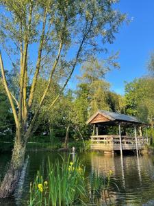 a wooden gazebo in the middle of a pond at Vakantie huis 4 persoons compleet ingericht in Bladel