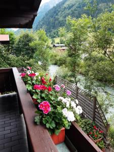 balkon z kwiatami i rzeką w obiekcie Ella's w mieście Fusch an der Großglocknerstraße +35 zdjęć