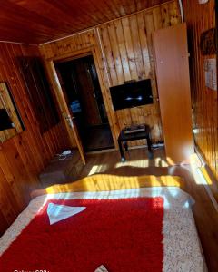 Una sala de estar con una alfombra roja y un televisor. en Pensiunea Rossvillas!!, en Lepşa