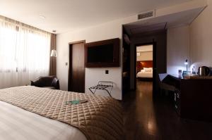 Postel nebo postele na pokoji v ubytování Hotel Mitru Sur