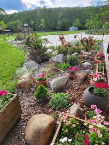 Billede fra billedgalleriet på Cinege Vendeghaz/Casa de oaspeți Pițigoi i Izvoare