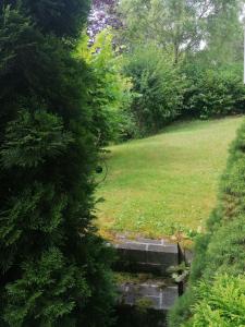 Zahrada ubytování FeWo Grenzenlos in Ramsberg