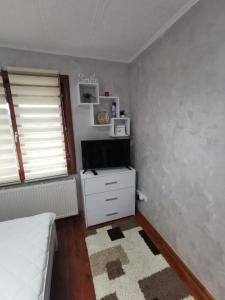 Kuchyň nebo kuchyňský kout v ubytování Apartman Tarski snovi - Tara, Kaluđerske bare