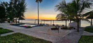 a view of a beach with a palm tree at AVO Boutique Hotel in Dikoni