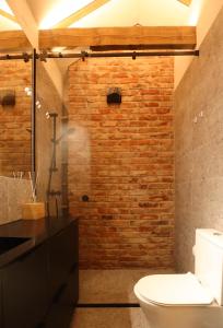 a bathroom with a toilet and a brick wall at Pamario rezidencija in Nida +32 photos