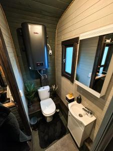 ein kleines Badezimmer mit Toilette und Waschbecken in der Unterkunft Lakeside Sunset in Alūksne + 16 Fotos