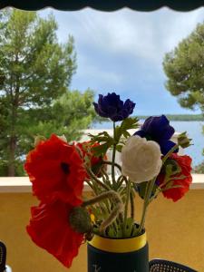 マリ・ロシニにあるApartments Atilaのギャラリーの写真