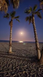 two palm trees on a sandy beach at night at Apartamento de lujo en Canet de Berenguer a 150 m de la playa in Canet de Berenguer