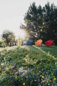 A garden outside Hotel Rudolf