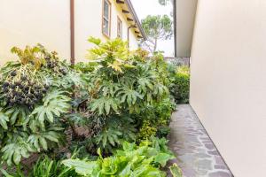 Zahrada ubytování Casa delle orchidee