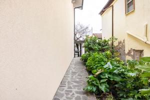 Zahrada ubytování Casa delle orchidee