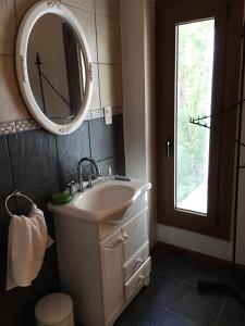 a bathroom with a sink and a mirror on the wall at Aparts de los Pajaros in El Calafate