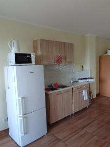 Kuchyňa alebo kuchynka v ubytovaní Vízparti apartmanok