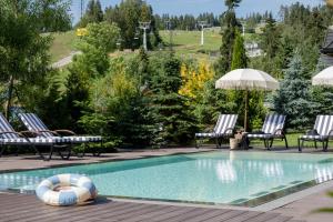 Bazén v ubytovaní Domki w Białce WOODHOUSE- basen, sauna, jacuzzi alebo v jeho blízkosti