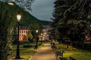 a park with benches and street lights and buildings at Downtown luxury segment in Braşov