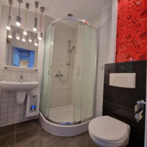 a bathroom with a shower and a toilet and a sink at Pokoje i apartamenty przy Sosnowej in Poddąbie +39 photos